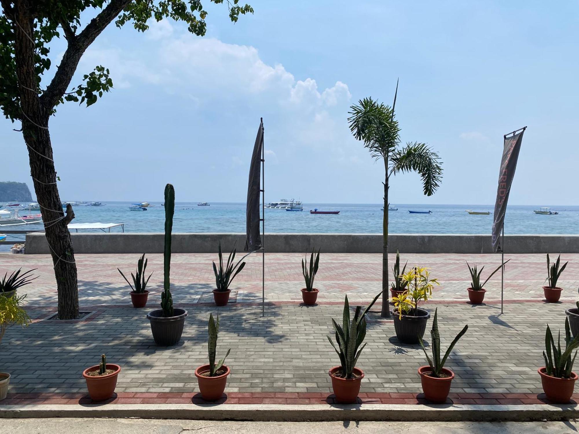帕帕弗雷德斯海滩度假酒店 波尔多·格尼拉 外观 照片